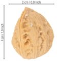 Dió díszítéshez, natúr termék, 3-4 cm, 300g | Floristik24.hu