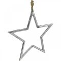 Floristik24 Karácsonyi dekoráció csillag, adventi dekoráció, csillag medál ezüst sz24,5cm
