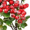 Floristik24 Karácsonyi ágak piros bogyós gyümölcsökkel, téli dekorációval, áfonya vörös havas L58cm
