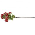 Floristik24 Karácsonyi ágak piros bogyós gyümölcsökkel, téli dekorációval, áfonya vörös havas L58cm