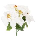 Floristik24 Mesterséges mikulásvirág, fehér, nagy virágú, dísznövény, 40cm