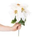 Mesterséges mikulásvirág, fehér, nagy virágú, dísznövény, 40cm | Floristik24.hu