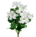Mikulásvirág csokor fehér L45cm