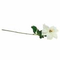 Mikulásvirág fehér művirág 67cm | Floristik24.hu