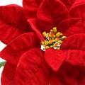 Floristik24 Mikulásvirág művirág piros 67cm