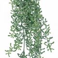 Floristik24 Zöld növény függő mesterséges lógó növény rügyekkel zöld, fehér 100cm