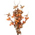 Műgalyóág, őszi dekoráció, 75cm | Floristik24.hu