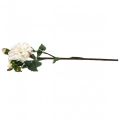 Floristik24 Fehér rózsák műrózsa nagy három bimbóval 57cm