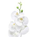Floristik24 Fehér mesterséges orchidea Phalaenopsis Real Touch 85cm