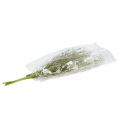 Floristik24 Kerti virágok fehér L50cm 3db