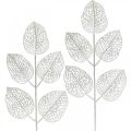 Floristik24 Téli dekoráció, deco levelek, műág fehér csillám L36cm 10db