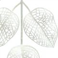 Floristik24 Téli dekoráció, deco levelek, műág fehér csillám L36cm 10db