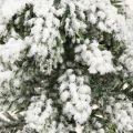 Téli dekoráció Karácsonyfa zöld fehér színben Ø7cm H14cm 4db | Floristik24.hu