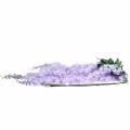 Floristik24 Garland wisteria lila 175cm 2db