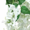 Floristik24 Garland wisteria fehér 175cm 2db