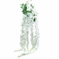 Floristik24 Garland wisteria fehér 175cm 2db