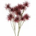 Floristik24 Xanthium művirág őszi dekoráció piros 6 virág 80cm 3db