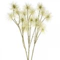 Floristik24 Xanthium művirágkrém őszi dekoráció 6 virág 80cm 3db