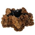 Floristik24 Fenyőtoboz virágcserép, csillag alakú, 30 cm