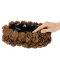Ovális fenyőtoboz virágcserép, 30 cm | Floristik24.hu