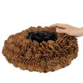 Kerek fenyőtoboz cserép ültetőnek, 38cm; kerek fenyőtoboz cserép, natúr barna, fenyőtobozokból, 38cm x 14cm | Floristik24.hu