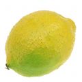 Floristik24 Dekoratív citrom 10cm 6db