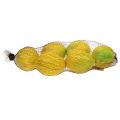 Floristik24 Dekoratív citrom 10cm 6db