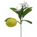 Floristik24 Deco ág citrom és virág műág nyári dekoráció 26cm 4db
