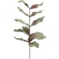 Floristik24 Mesterséges növényi deco ág zöld vörös barna hab H68cm