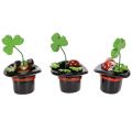 Szerencsefigura lóhere és bogár cilinderben, 7cm, 3 darab | Floristik24.hu