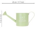 Virágcserép, díszes öntözőkanna, mentazöld cink kaspó, Ø16.5cm | Floristik24.hu