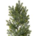 Floristik24 Műfenyőág-girland kreatív virágkötészethez, 175 cm