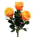 Floristik24 Dekoratív rózsa narancs Ø8cm L68cm 3db