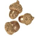 Aranyló őszi gyümölcsök, ünnepi őszi dekorációk, természetes díszmakk, adventi dekoráció Ø1,5 – 2,5cm H1,5 – 3cm 300g | Floristik24.hu