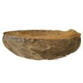 Kókusz virágcserép, natúr, 20 cm, 5 darab | Floristik24.hu
