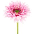 Floristik24 Mesterséges Gerbera Kerti Virágok, Rózsaszín, 47cm, 6 Darab