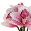 Floristik24 Mesterséges orchidea művirág vázában fehér/rózsaszín 28cm