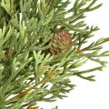 Kis műfenyő koszorú, zöld, tobozokkal, Ø24cm, karácsony | Floristik24.hu