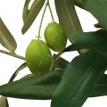 Floristik24 Mesterséges olajfa cserépben Mesterséges növény Olive H63,5cm