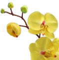 Floristik24 Mesterséges orchidea sárga 68cm