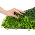 Műbükkfa növényszőnyeg 55x55 cm dekoratív faldekorációhoz | Floristik24.hu