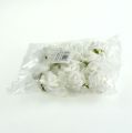Floristik24 Mini hab rózsák fehér 12db
