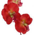 Floristik24 Deco orchidea piros 68cm