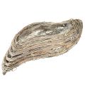 Floristik24 Növény csónak növény hullám rattan natúr fehér 45x16cm