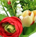 Floristik24 Ranunculus csokor, tulipán csokor, piros