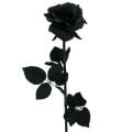 Floristik24 Rózsa selyemvirág fekete 63cm