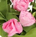 Floristik24 Asztali dekoráció mini rózsák rózsaszín 16cm